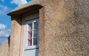 Nanpean thatch roof disadvantages